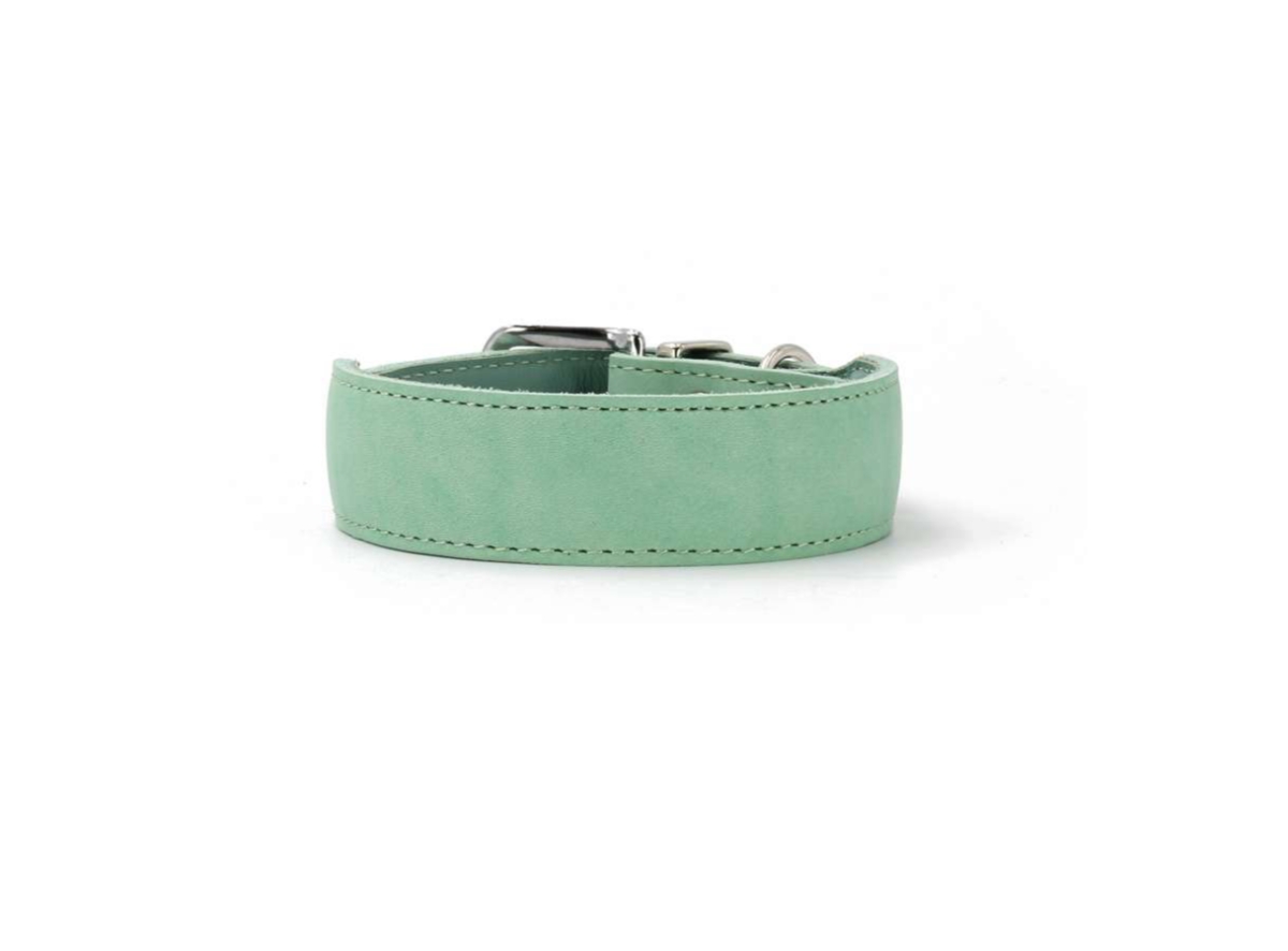 MAUL Halsband Mono Pop mint mint / silber