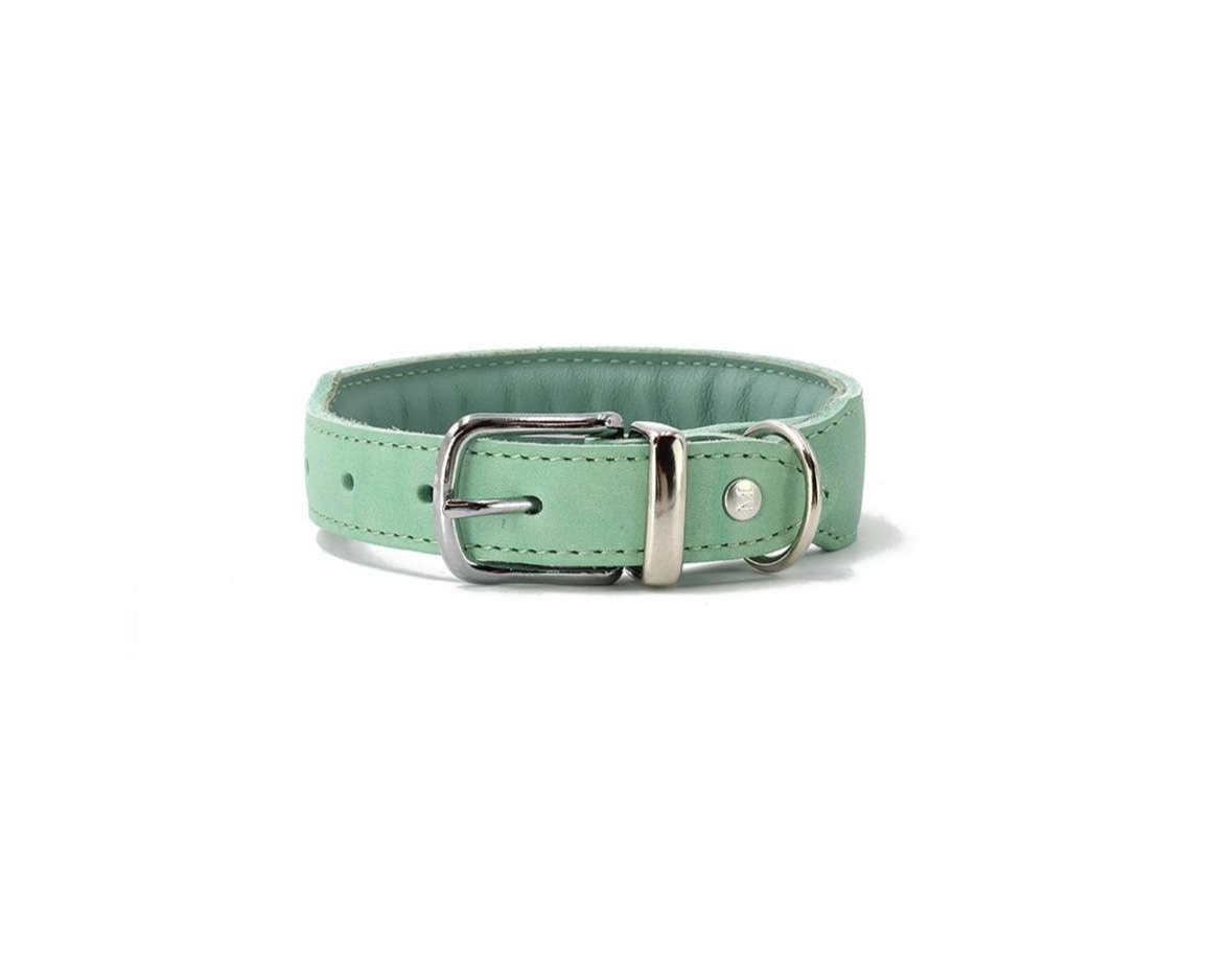 MAUL Halsband Mono Pop mint mint / silber